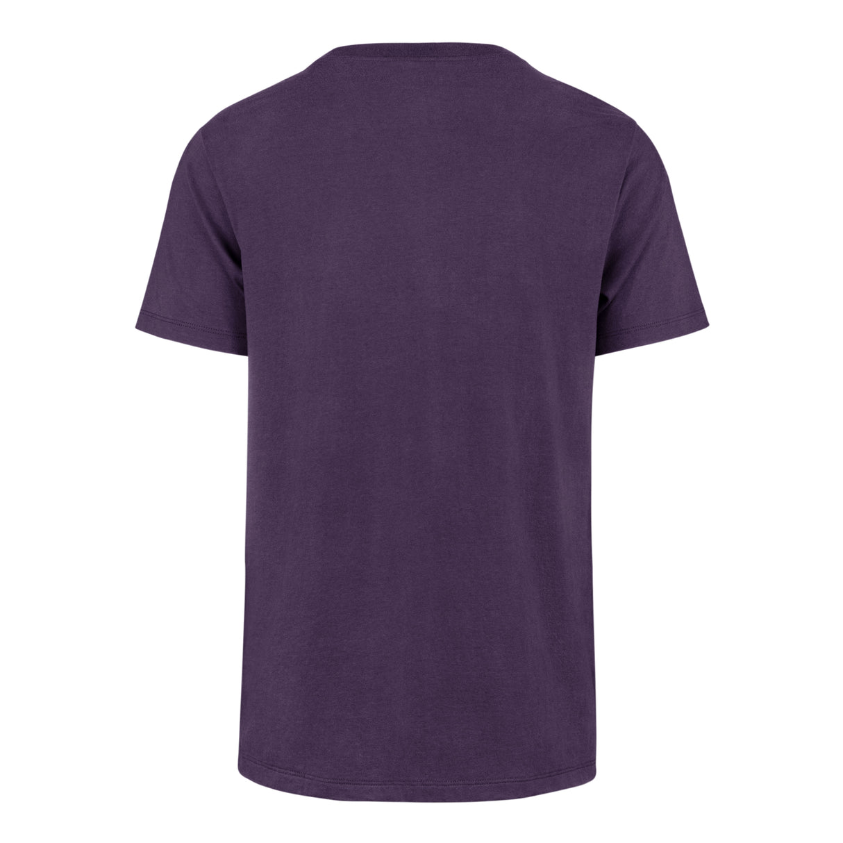 Charlotte Hornets Crown '47 Men's Franklin T-Shirt